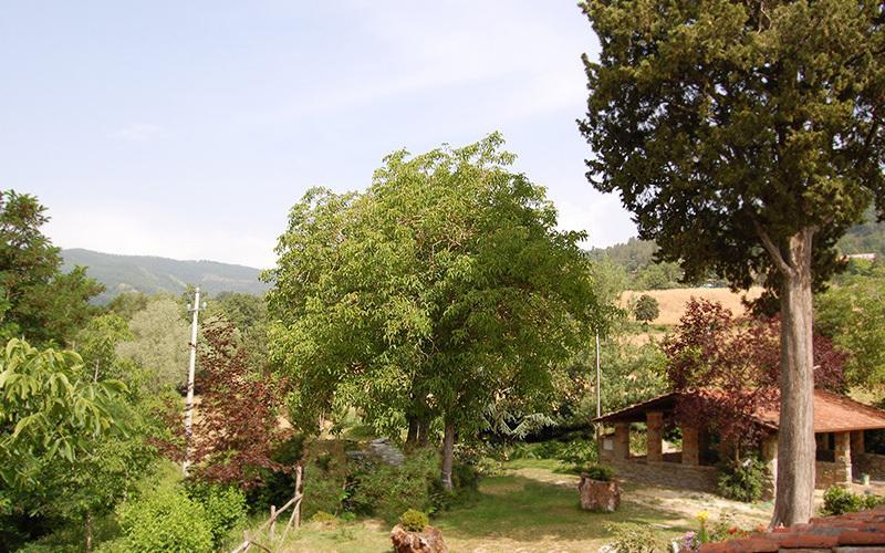 Agriturismo Il Piano Villa Pratovecchio Exterior photo